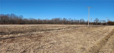 4803 NW Highway Dd, Urich, MO 64788 - photo 5