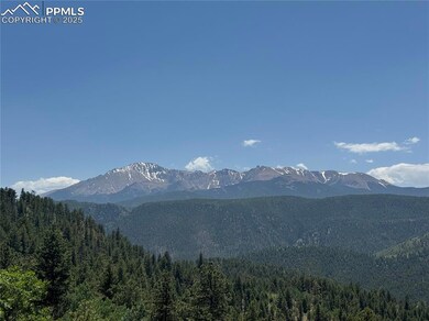 View of mountain background with a heavily wooded area