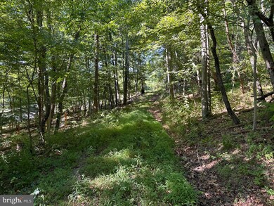 0 English Muffin Way, Berkeley Springs, WV 25411 - photo 3