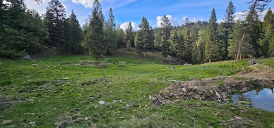 7 Tract Bull Elk, Drummond, MT 59832 - photo 7