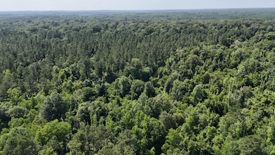 333 Yocum Rd unit LotWP002, Trout, LA 71371 - photo 3