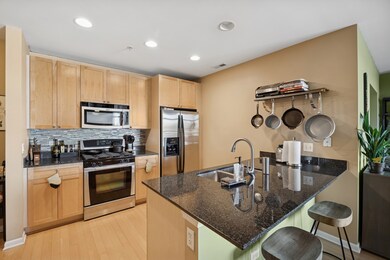 The Residences at the Grove unit 506, Forest Park, IL 60130 - photo 5
