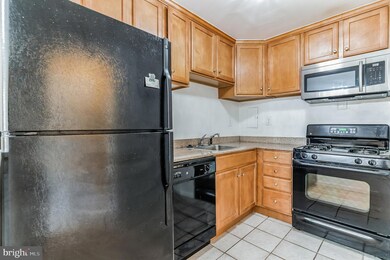 10570 Main St unit 509, Fairfax, VA 22030 - photo 3