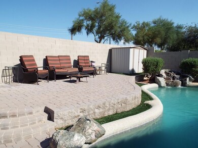 backyard (4)