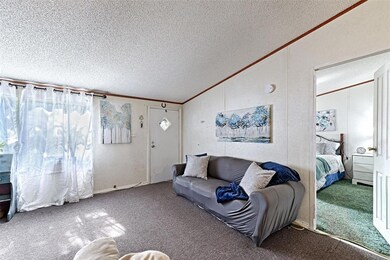 126 Kailyn Ln, Weatherford, TX 76085 - photo 7