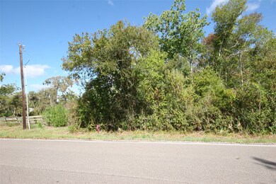 0 County Road 659 unit 75435448, Brazoria, TX 77541 - photo 2