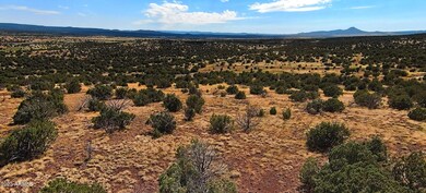 1100 W Warren Way unit 1208, Ash Fork, AZ 86320 - photo 3