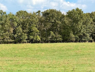 960 County Road 3030, Mountain View, MO 65548 - photo 3