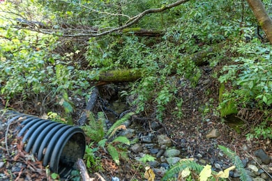 4 Old Mill Ave, Lompico, CA 95018 - photo 2