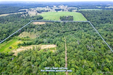 Caulfield Storage With Property Lines (5