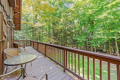 Overlooking mature trees