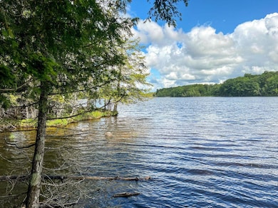 568 Pattagumpus Rd, Medway, ME 04460 - photo 3