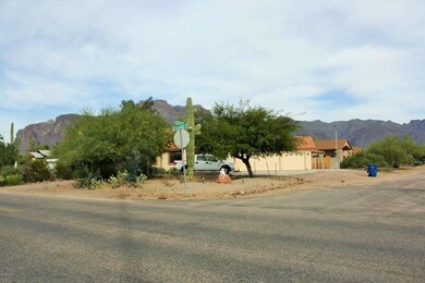 IMG_6454 (3)