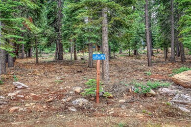 9270 Brae Rd, Truckee, CA 96161 - photo 3