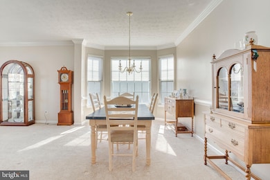 5103 Crest Haven Way, Perry Hall, MD 21128 - photo 5