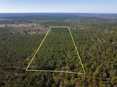 000 Forest Service Road 527, Apple Springs, TX 75926 - photo 3