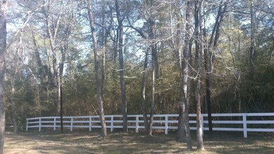 Lot 48 Pipestone Rd, Magnolia, TX 77354 - photo 6