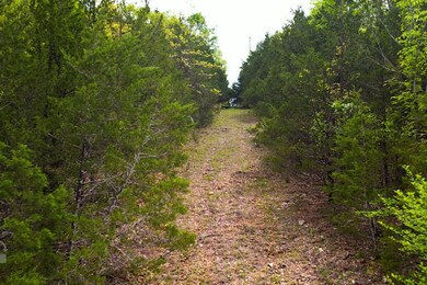 Tbd Catfish St & Drum St, Kissee Mills, MO 65680 - photo 5