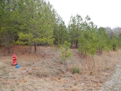 6 Ihagee Creek Cir, Fort Mitchell, AL 36856 - photo 7