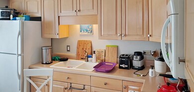 1007 Norfolk Ave, Westchester, IL 60154 - photo 5