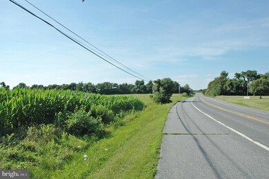 Lot 2 Crystal Beach Rd, 1, Cecilton, MD 21919 - photo 4