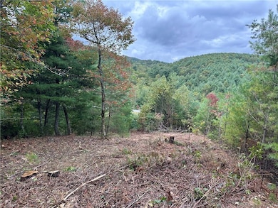 Mountain views and cleared areas