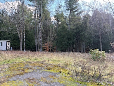 482 County Route 11, West Monroe, NY 13167 - photo 3