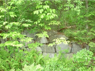 0 Vermont 102, Guildhall, VT 05905 - photo 4