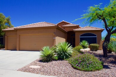 Beautiful Tatum Highlands home