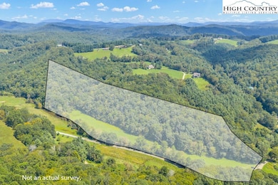 TBD Dell Coffey Rd, Boone, NC 28607 - photo 2