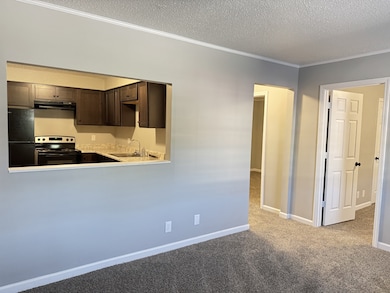 425 Alma Ln unit H, Clarksville, TN 37043 - photo 5