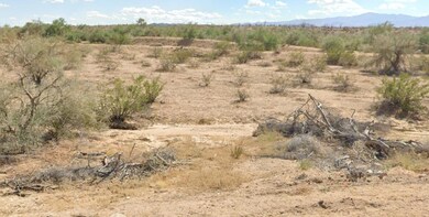 Unnamed Rd, Yucca, AZ 86438 - photo 3