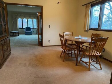 305 4th St SW, Pine Island, MN 55963 - photo 2