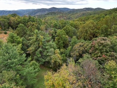 Wooded Acreage