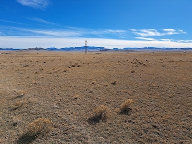 3547 Routt Rd, Hartsel, CO 80449 - photo 5