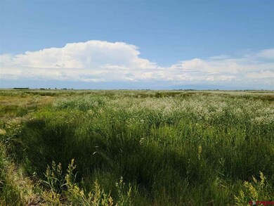 TBD Rd Road 112 S, Alamosa, CO 81101 - photo 4