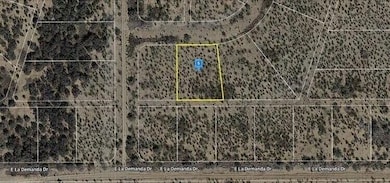 CF8M+9MM Douglas unit Arizona USA, Douglas, AZ 85607 - photo 2