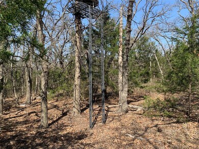 90 ACres County Rd 189, Gainesville, TX 76240 - photo 7