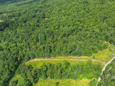 0 Shepards Run unit 4 5054579, Bethlehem, NH 03574 - photo 5