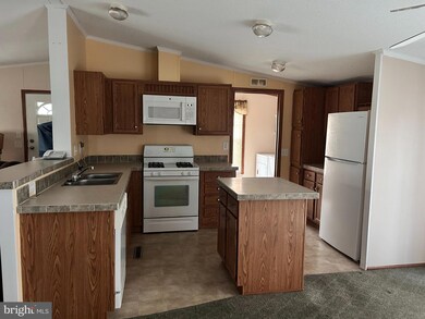 10 Big Mill Branch unit 51661, Seaford, DE 19973 - photo 6