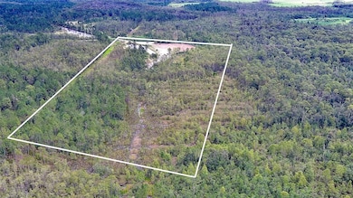 4706 Omega Ranch Rd, New Smyrna Beach, FL 32168 - photo 3