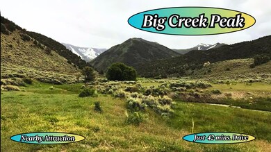 108 Toquima Way, Austin, NV 89310 - photo 5