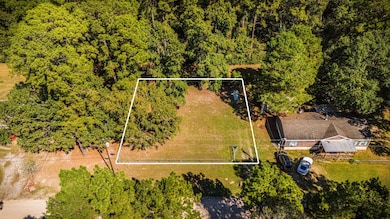 339 Canadian Dr, Trinity, TX 75862 - photo 4