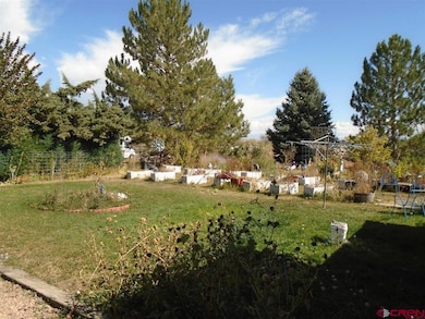 20469 Vista Grande Dr, Austin, CO 81410 - photo 6