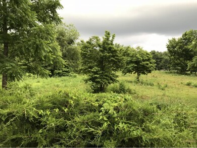 LOT 1 Blake Rd, Greeneville, TN 37743 - photo 7