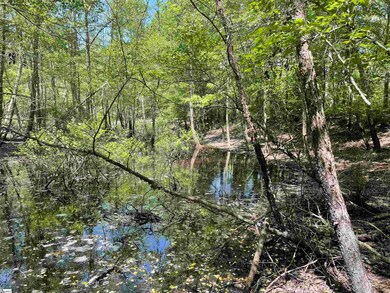 00 Clatworthy Rd, Honea Path, SC 29654 - photo 6