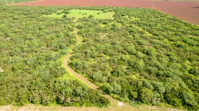 0 Cr 59 South of Fm 70 unit 11356339, Bishop, TX 78343 - photo 6