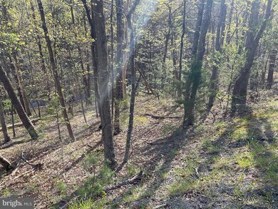 TBD Johnston, Basye, VA 22810 - photo 2