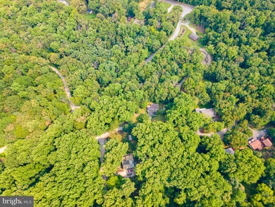 41 Laurel Ln, Bluemont, VA 20135 - photo 4