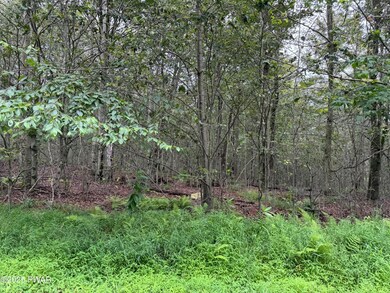 Lot #18 Split Rock Rd, Newfoundland, PA 18445 - photo 2